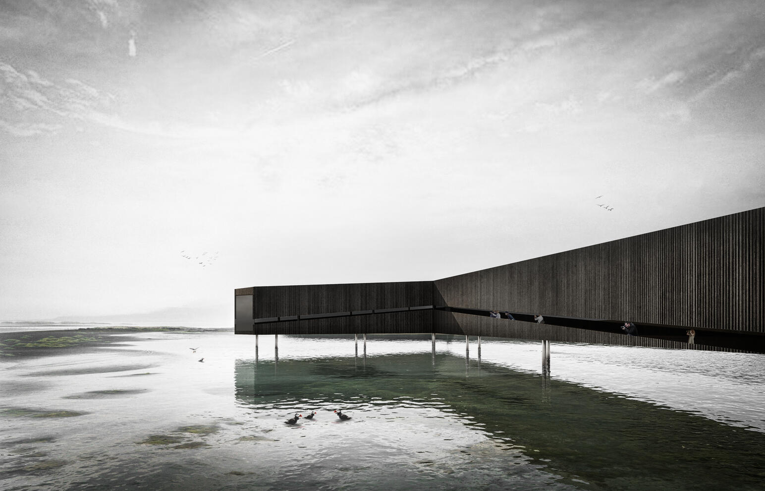 YAC Competition 3 // Islande // Atelier Prospectif